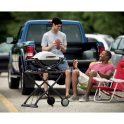 Weber Q1000 1 Burner Liquid Propane Grill Titanium -Webir Gas Grills Shop 7a8f720e 561a 4c33 87f0 80d18af251c3