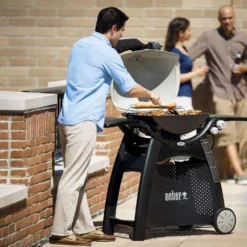 Weber Q3200 2 Burner Natural Gas Grill Titanium -Webir Gas Grills Shop 9f4a794f 70f2 4b6c a487 46c487403084