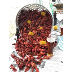 Bayou Classic Aluminum Grill Stockpot With Basket 60 Qt 1 Pk -Webir Gas Grills Shop afe882ab ae98 4c00 9029 53210daef772