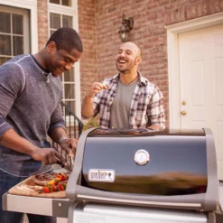 Weber Spirit E-210 2 Burner Liquid Propane Grill Black -Webir Gas Grills Shop bd0be98a a599 4154 9e93 544b77603809