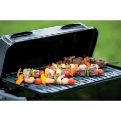 Weber Go-Anywhere 1 Burner Liquid Propane Grill Black -Webir Gas Grills Shop bd9ee70a dda7 40bf a2c7 077af326573b